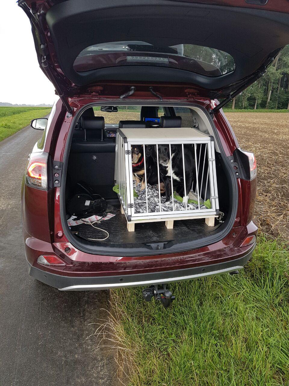 Rav4 Hybrid Und Hundebox Priusforum